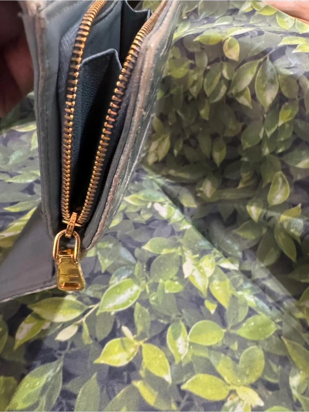 Miu Miu compact croc